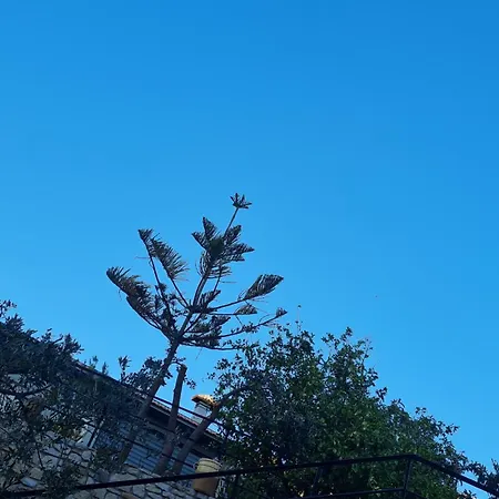 Campolo * Reggio di Calabria