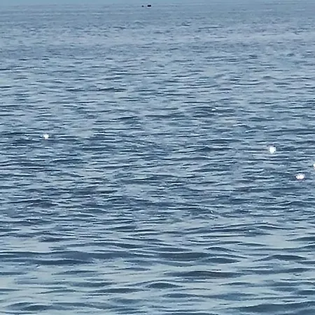 Campolo *